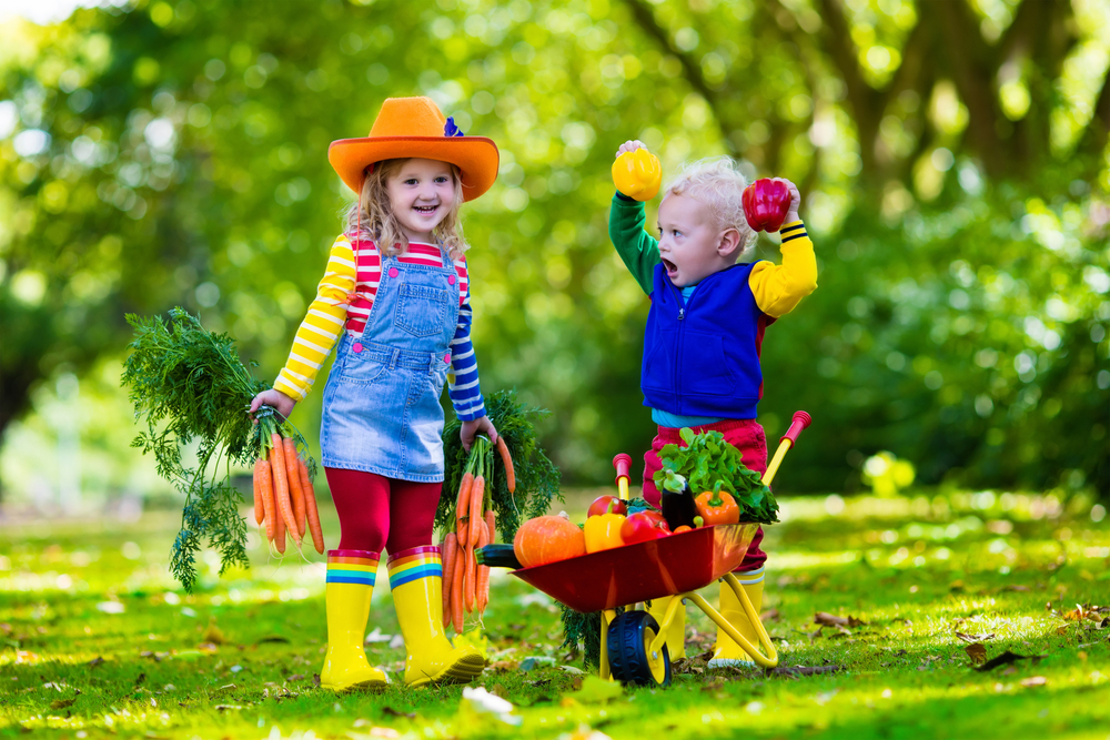 Photo of Easy Ways to Garden with Your Kids